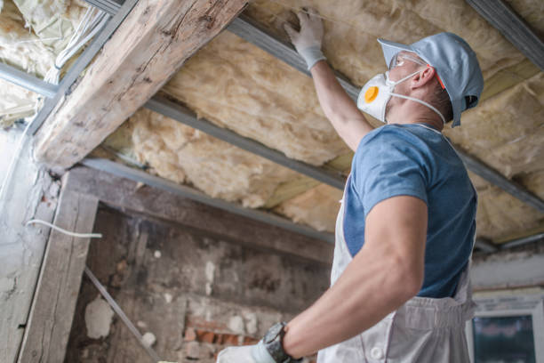 Best Insulation for Specific Applications in , MN