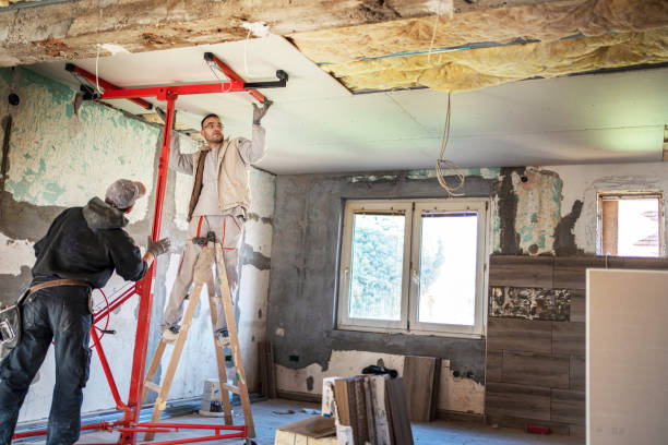 Best Insulation for Specific Applications in , MN