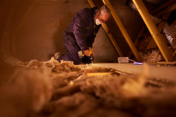 Best Types of Insulation in , MN